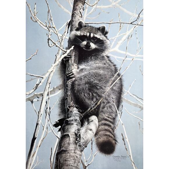 1984 Charles Fracé “Bandit, Raccoon” Large Signed Lithograph Print 30”X22” w/COA - Picture 1 of 11